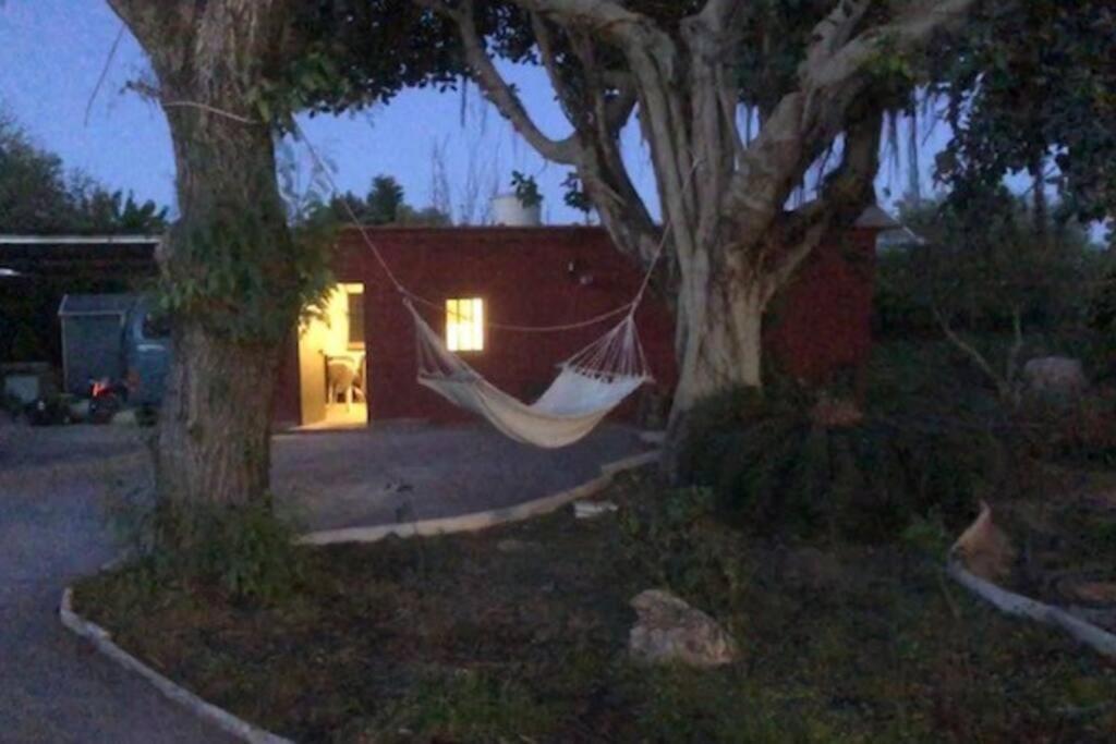 Orange Blossom Finca Unique Βαλένθια Εξωτερικό φωτογραφία