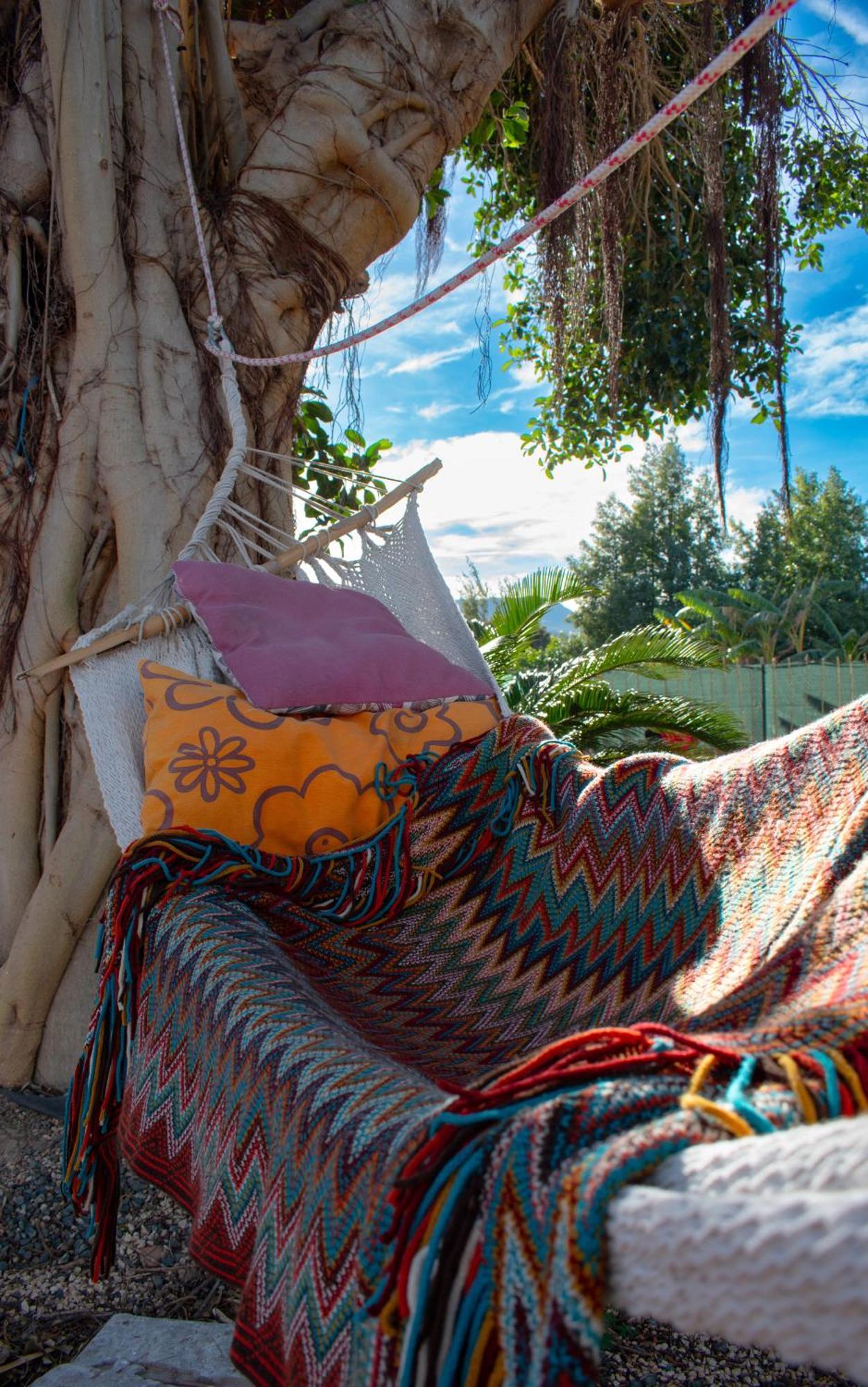 Orange Blossom Finca Unique Βαλένθια Εξωτερικό φωτογραφία