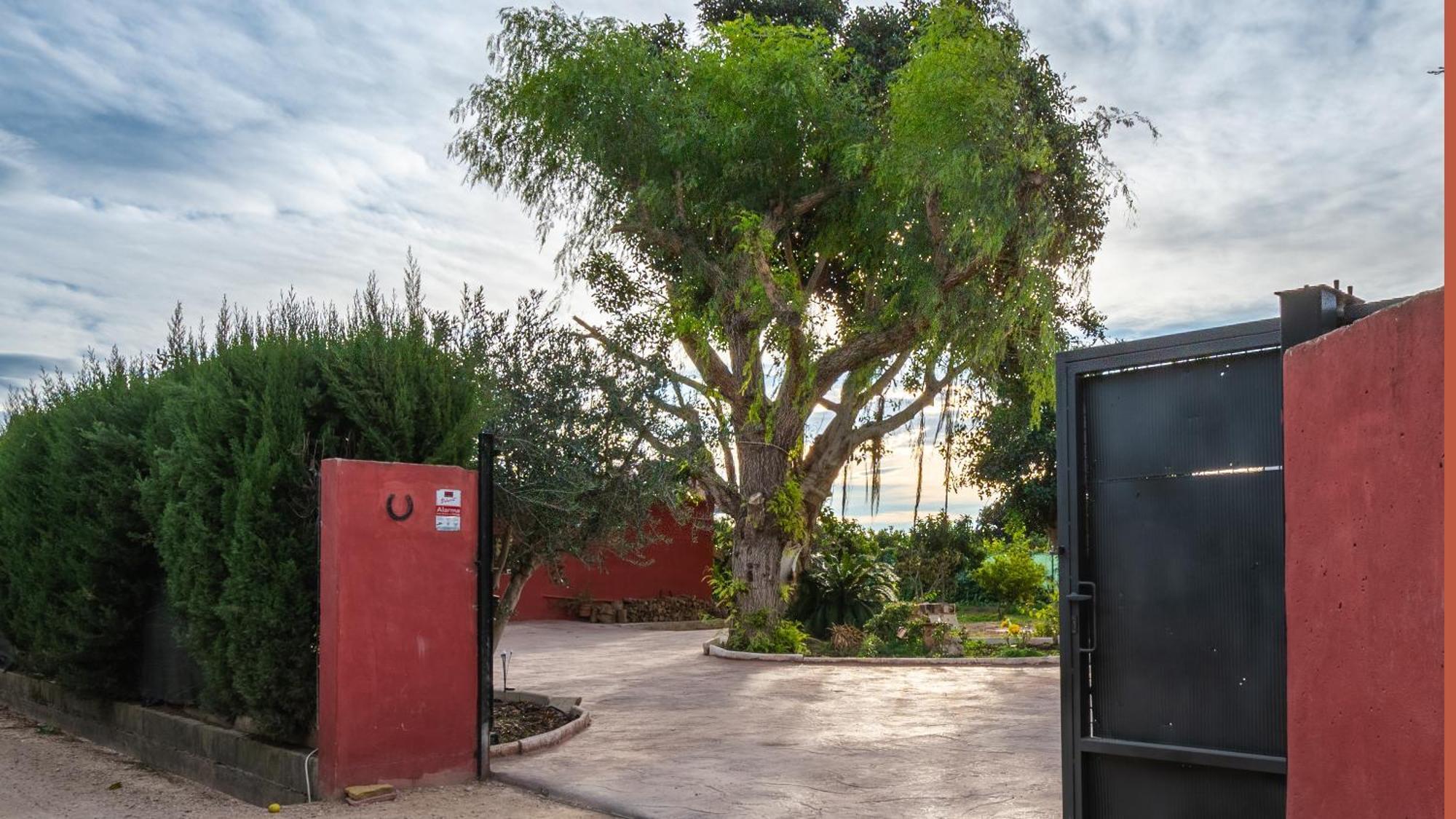 Orange Blossom Finca Unique Βαλένθια Εξωτερικό φωτογραφία